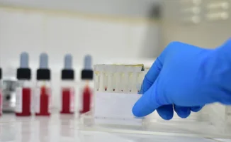 Опасный вирус вновь на свободе: Кызылорда в ожидании удара Конго-Крыма
