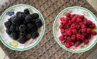 Органические продукты: как Казахстан может изменить рынок и повлиять на здоровье потребителей