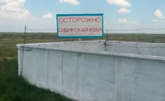 Дефицит вакцин усугубил вспышку сибирской язвы в Акмолинской области, угрожая здоровью населения