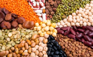 Специалисты поделились информацией о продукте, способном продлить жизнь
