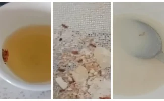 Скандал в Талдыкоргане: еда с насекомыми в детском саду вызывает возмущение родителей и вопросы к власти