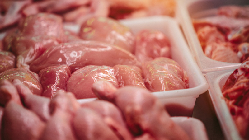 Птицы на тарелке: неожиданный источник инфекций мочевыводящих путей