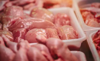 Птицы на тарелке: неожиданный источник инфекций мочевыводящих путей