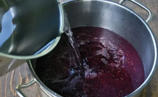 Сок из черной смородины улучшает мозговое кровообращение, активируя лобные доли и повышая когнитивные функции