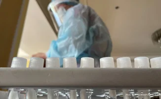 Сокращенный рабочий день для родителей: социальные инициативы в Казахстане