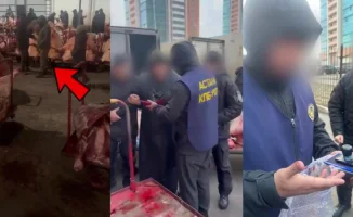 Закрытие канала поставок мяса сомнительного качества в Астане: последствия для местного рынка и потребителей