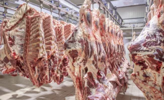 Мясной замок: депутаты против олигополии, закрывающей фермеров от мира