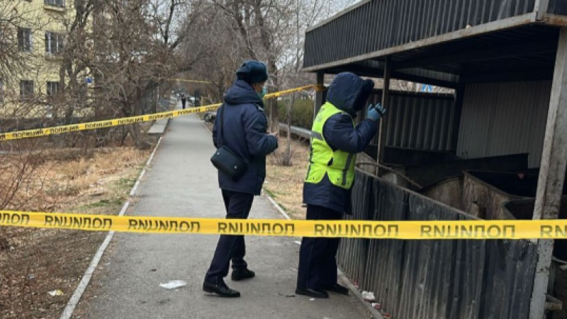 В Кентау найден новорожденный в мусорном контейнере, мать в розыске