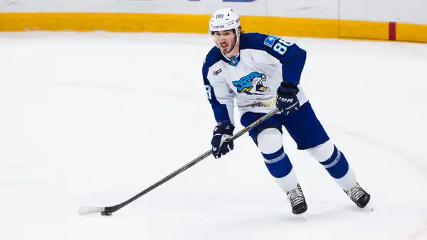 Американский хоккеист Майкл Веккьоне о конине в Казахстане