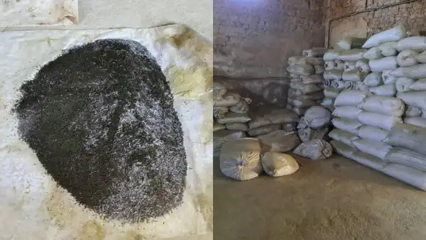 В Туркестанской области полиция изъяла две тонны насвая на подпольном цехе