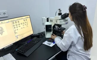 Ген ожирения, дети на заказ, семейный рак: мифы и правда