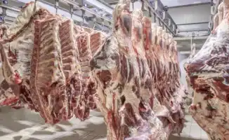 Ограничение вывоза говядины из Казахстана: причина и влияние