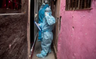 Китайские врачи о вирусе Нипах: угроза комы, эпилепсии и нервных поражений для зараженных