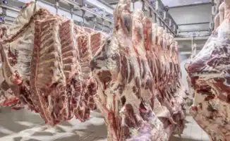 Казахстан вводит ограничения на экспорт говядины: причины и порядок применения