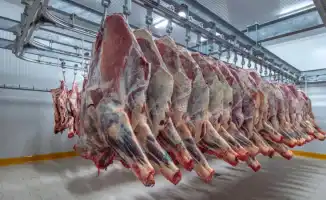 Казахстан продлил ограничения на вывоз говядины: социальные последствия для потребителей