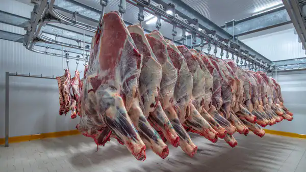 Казахстан продлил ограничения на вывоз говядины: социальные последствия для потребителей