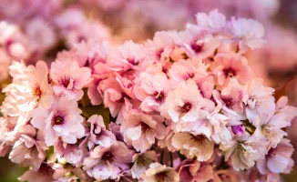 Казахстанцы смогут отдохнуть почти всю вторую половину марта