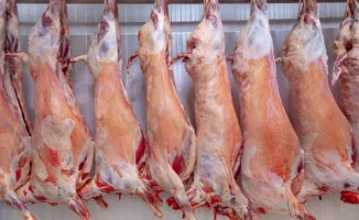 Министр прокомментировал информацию о вывозе говядины из Казахстана