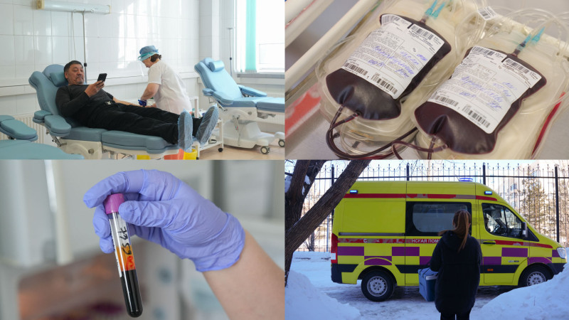 Что происходит с донорской кровью: путь от сбора до пациента