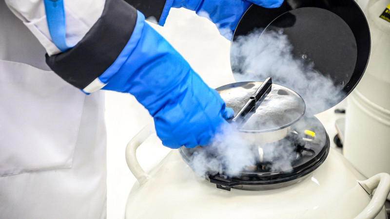 Казахстан и Европа обсуждают проблему утилизации невостребованных эмбрионов