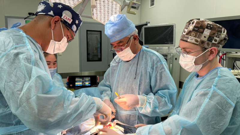 Алматинские хирурги извлекли трихобезоар: операция как искусство