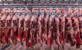 Казахстан и Турция: новое партнерство в агропромышленности