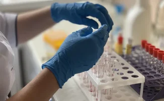 Казахстанские санитарные пункты усиливают меры из-за угрозы хантавируса, несмотря на отсутствие случаев