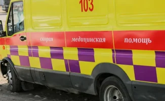 Три случая заражения бруцеллёзом в Северо-Казахстанской области
