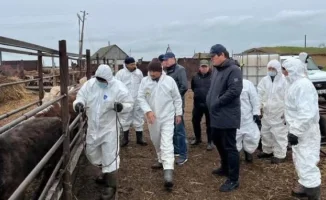 Ветеринар предупредил о риске ящура в Казахстане на фоне гибели сайгаков