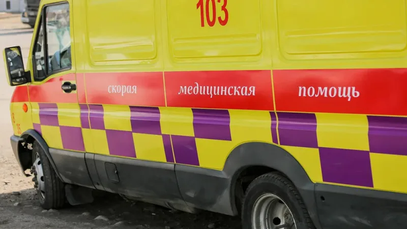 Три случая заражения бруцеллёзом в Северо-Казахстанской области